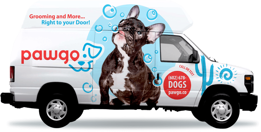 Pawgo Van